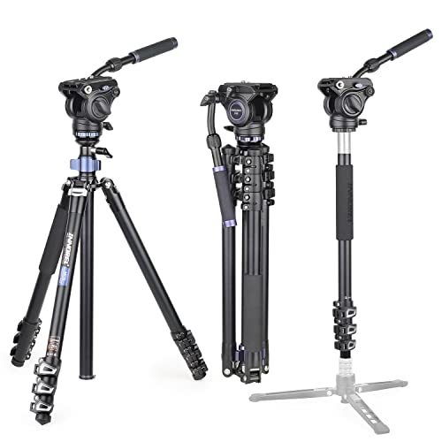 INNOREL MT70 Treppiede per videocamera professionale 183 cm, con testina di trascinamento fluido,...