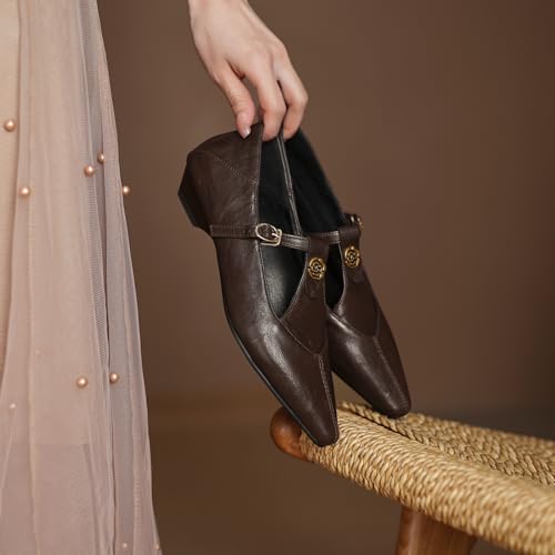Women's Elegant T-Strap Vintage Pumps Block Low Heel Pointed Toe Cut Out Mary Jane2