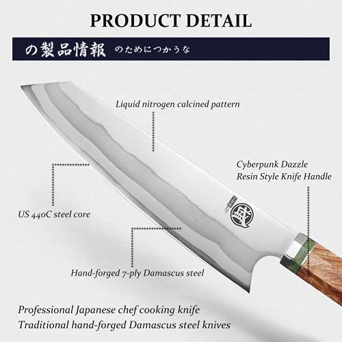 Mitsumoto Sakari 8 Inch Japanese Kiritsuke Chef Knife, Hand Forged 67 Layers 440C Damascus Steel Kitchen Knives, Professional Meat Sushi Chef's Knife (Blue Pomegranate Handle & Gift Box) #TOP6