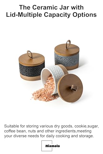 Miamolo Mini Ceramic Airtight Jars for Tea and Spice Storage