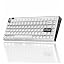 Electrophoresis White 84 Keys