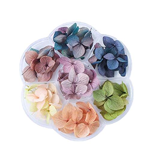 Minkissy Nail Dried Flowers 3D Gradient Real Dry Flower Nail Stickers Tip Decals Applique Nail Design for Nail DIY Art Craft Manicure Decoration