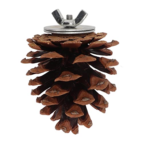 Pine Cone Bird Toy For Let, Bird Toys 10pcs Bird Bite Pine Co Pine Cone Chewing Bird Speelgoed voor Parakeet Cocl Conure Fi Budgie Aw - Afbeelding 4