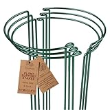 Soupiar 6 Pack Plant Support Stakes, Metal Monstera Plant Support Stakes for Indoor Plants, Large Garden Plant Support Ring, Tomato Cage, Tall Plant Holder Sticks (10' W X 15.8' H)