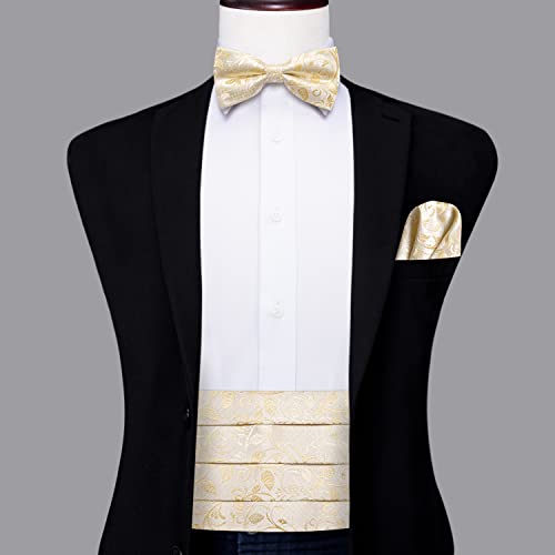 Image of Dubulle Mens Cummerbund and Bow Tie Set Paisley Floral Pretied Bowties for Men Pocket Square Cufflinks Wedding Business