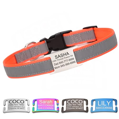 Collare per cani personalizzato e riflettente con targhetta —— regolabile e personalizzabile, dotato di etichetta in acciaio inossidabile rimovibile（Arancione）