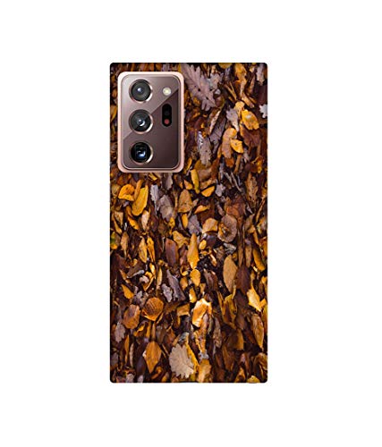 Image of Amazon Brand - Solimo Designer Dry Leafs 3D Printed Hard Back Case Mobile Cover for Samsung Galaxy Note 20 Ultra