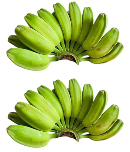 SAGING NA SABA - �t�B���s���Y �T�o �o�i�i (2KG)