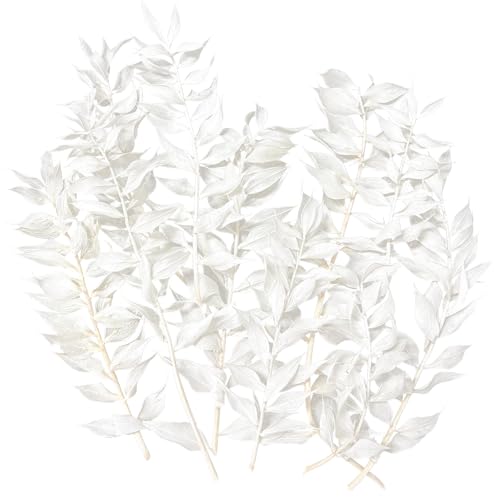 Dried Flowers, Dried Ruscus, Dry Dried Flowers Crafts for Diy Arts Resin Scrapbooking Jewelry Making Floral Decorations Cupcake Decorating (White)