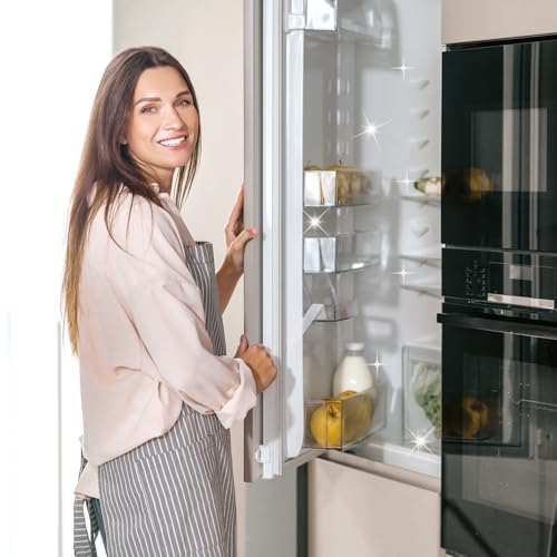 ERRECHOME FrigoNet, Kühl- und Gefrierschränke Abtauspray, 250 ml Flasche