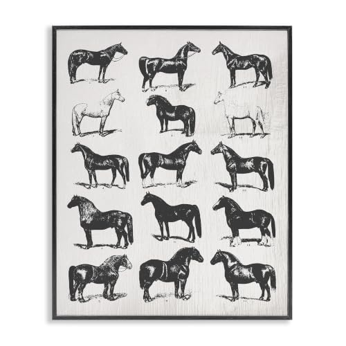 Vintage Varied Horse Breeds, 16 x 20 Inch Framed Giclée Print