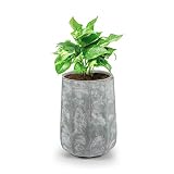 PARA INTERIORES Y EXTERIORES: En el tiesto Decaflor de Blumfeldt los arbustos, plantas vivaces o flores tienen un nuevo hogar muy decorativo. Esta maceta le da un toque verde y florido a tu casa y tiene cabida tanto dentro como fuera del hogar.