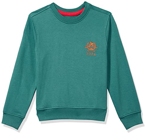 Image of U.S. POLO ASSN. Boys Sweatshirt
