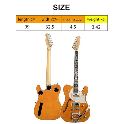 zeuwi セミホロウギター Amazon.com: ZUWEI: ELECTRIC GUITAR