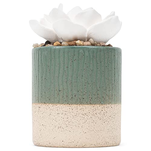 Demdaco Good Vibes Only Teal Blue Succulent 3 X 5 Stoneware Decorative Tabletop Oil Diffuser #TOP1