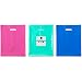 NEW 150 9x12 Teal, Royal Blue, Pink Premium LDPE Plastic Merchandise Bags, Best for Retail Shopping, Lularoe T-shirt Grocery Birthday Gift, Party Favor, Extra 2 mil thick,Recyclable