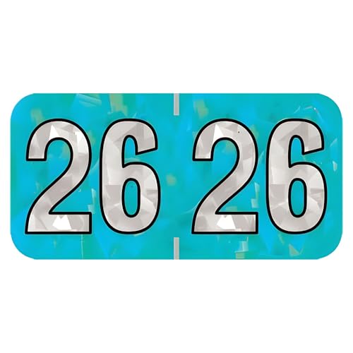 2026 Year Stickers, Doctor Stuff 2026 Chart Stickers, Holographic Aqua Colored, USA Made Year Labels for End Tab File Folders, 500 Labels per Roll, 1 Roll, 3/4" x 1-1/2"