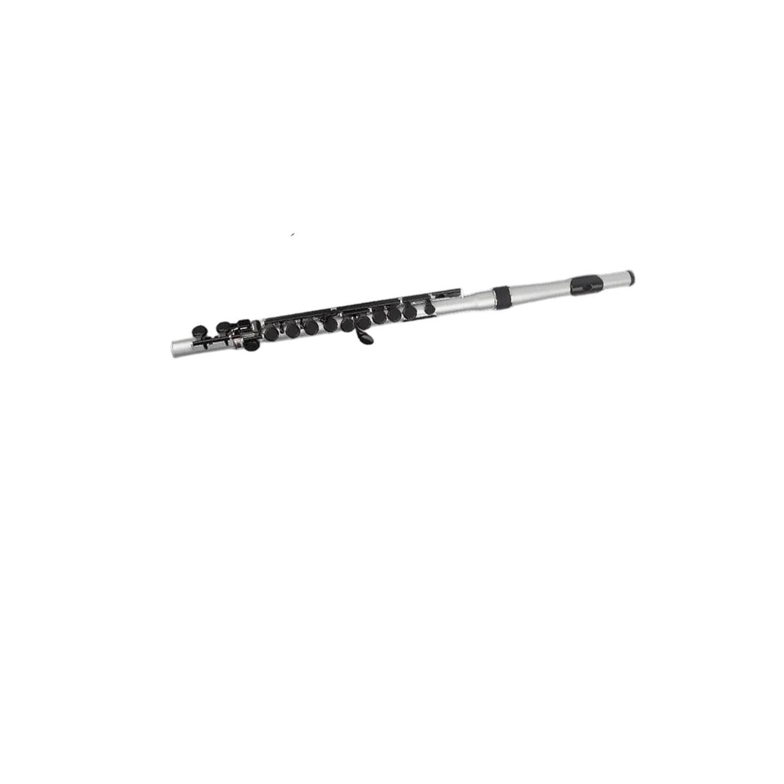 Flute Flauta para principiantes