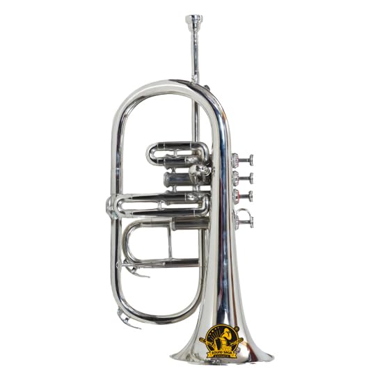 SOUND SAGA Fluge Horn 4 Valve Bb Pitch Including Mouthpiece and Carry Case (SILVER)