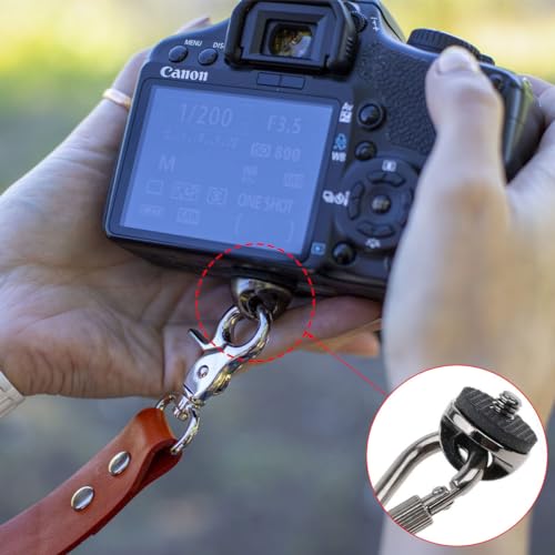 1/4 Zoll Kamera-Adapter, Adapter-Schraube Für Kameragurt 1/4 Zoll, 1/4 Kamera, Stativgewinde Befestigung, öse Kamera, 1/4 öse, Kameraadapter, Kameraplatte öse, Schraubhalterung Kamera, 4 Stück