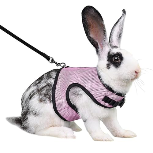 ETMn[lXƃ[VAbgEoؖoj[n[lXƃ[VZbgA킢oj[xXgX^btEH[LOtFbgqLq^ybgAsNXL