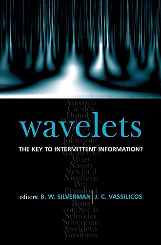 Wavelets: The Key to Intermittent Information view 2