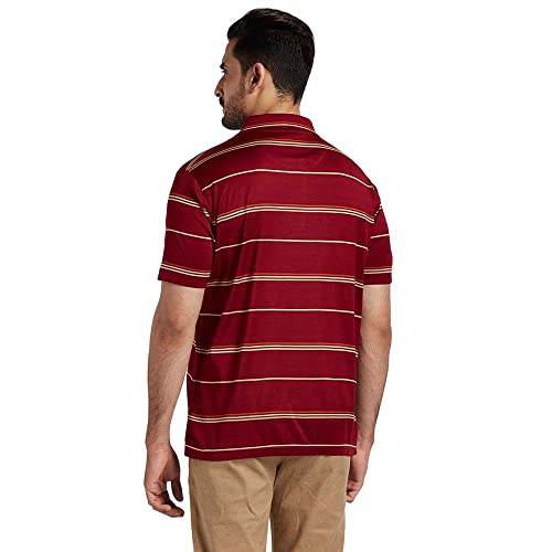 Image of Color Plus Stripes Cotton Regular Fit Mens T-Shirt
