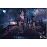 Wizarding World Póster de Harry Potter (Hogwarts), multicolor,