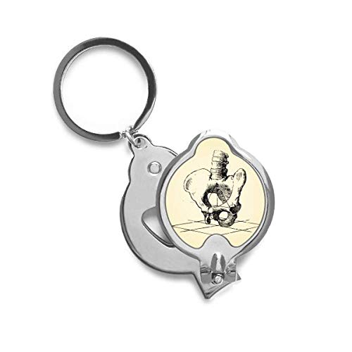 Coupe-ongles colonne vertébrale humaine hanche squelette cadeau médecine