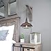 AXILAND Farmhouse Industrial Lighting Fixture Plug in Pendant Metal Hanging Lights