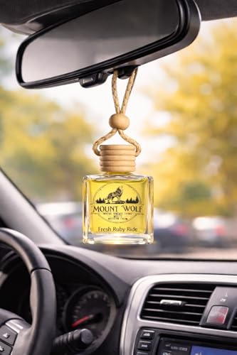 Image of Scented Diya Candle Set + Hanging Car Perfume Diffuser | Citrus & Sweet Fragrance | Premium Combo pack Gift for Car & Home.