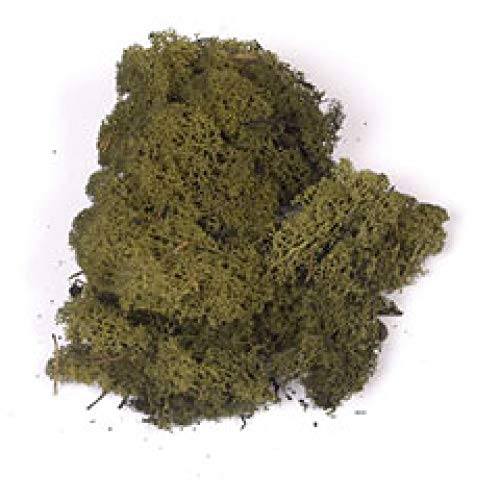 UNICRAFT Mousse Islande 40gr vert foncé, 25 g Cover