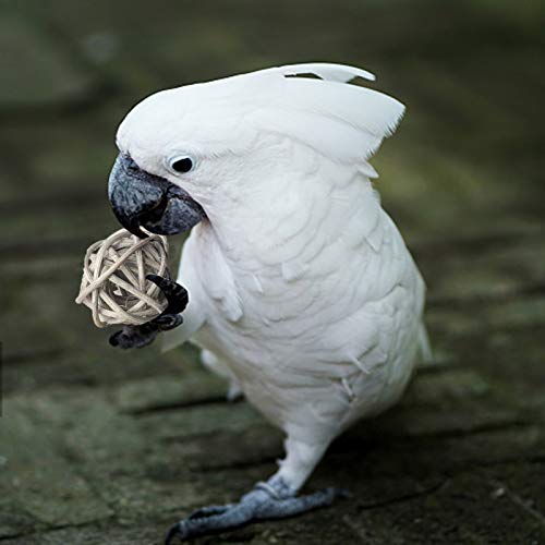 Benvo Rattan Balls 32 Pack 1.2 Inch Wicker Ball Birds Quaker Parrot Parakeet Chewing Pet Bite Ball For Budgies Conures Hamsters Ball Orbs Crafts Diy Accessories Vase Fillers (Multi-Colored) #TOP3