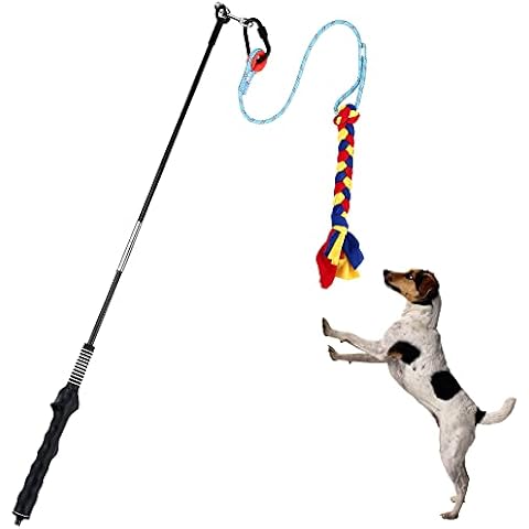 Oursouion Flirt Pole for Interactive Dog Play Cover