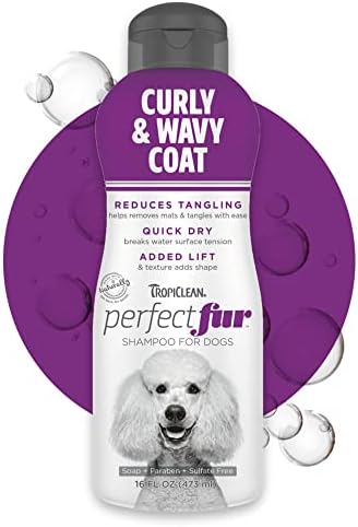 shampoo for poodle puppy