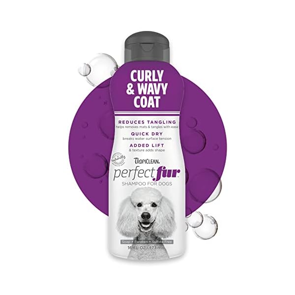 TropiClean Perfect Fur Detangling Dog Shampoo for Breeds with Curly & Wavy Fur, 16 Ounce