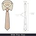 Dibi Solid Color Ties for Men, Formal Mens Ties, Neck Tie, Classic Tie for Boys Women Teens, Wedding Business Costume Necktie (Grey)