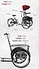 LSQXSS Cargo Trike with Vegetable Basket,Large Steel Front Shopping Basket,Ride-on Tricycle,Cruiser Trike with Single Rear Brake,Height Adjustable Saddle #4