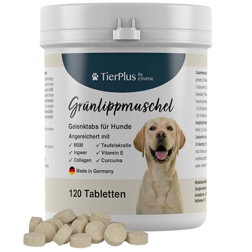 TierPlus Gelenktabletten für Hunde mit Grünlippmuschel, MSM, Ingwer, Chondroitin, Glucosamin und Teufelskralle angereichert. Hohe Fressakzeptanz, 120 Stück, Made in Germany