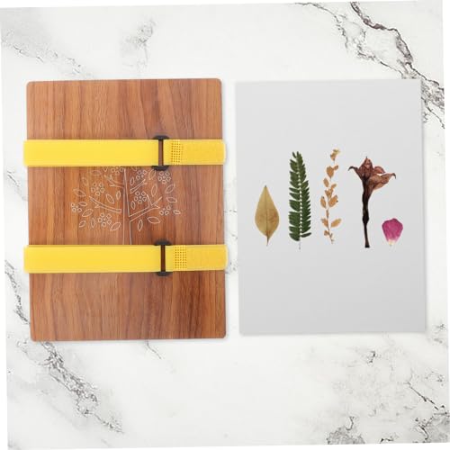 Kit pressage de fleurs bois et papier absorbant réutilisable pour herbier DIY