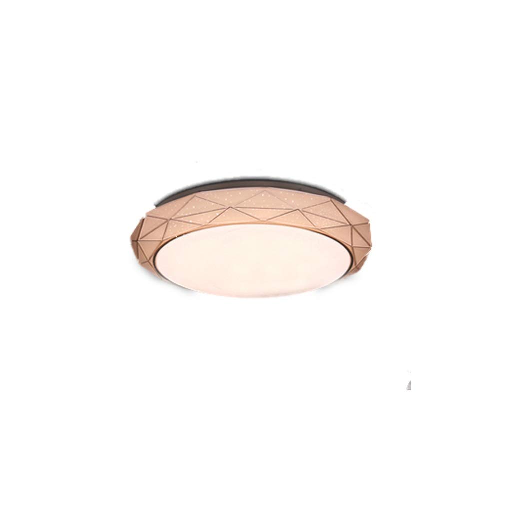HynJGih LED Corridor Light Round Ceiling Lamp Modern Minimalist Master Bedroom Aisle Living Room Lamp Balcony Room Lighting Fixtures, Stepless Dimming(B,40cm)