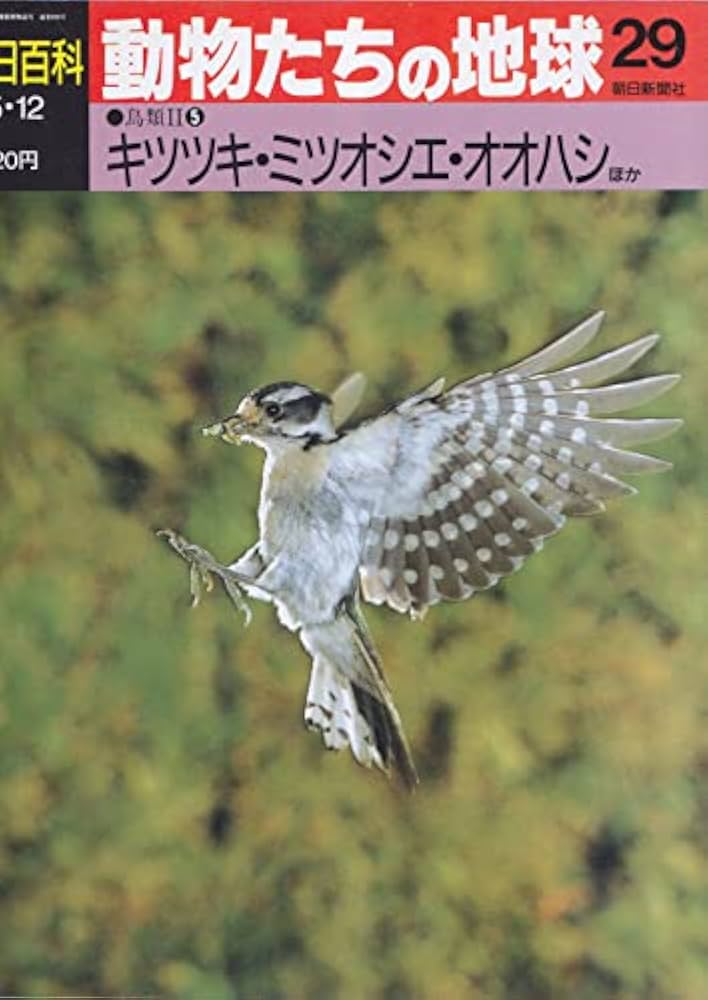 Amazon.co.jp: 週刊朝日百科 動物たちの地球 29 キツツキ・ミツオシエ