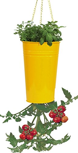 Houston International 8398E Saff 7-Inch Steel Hanging Planter, Saffron #TOP9