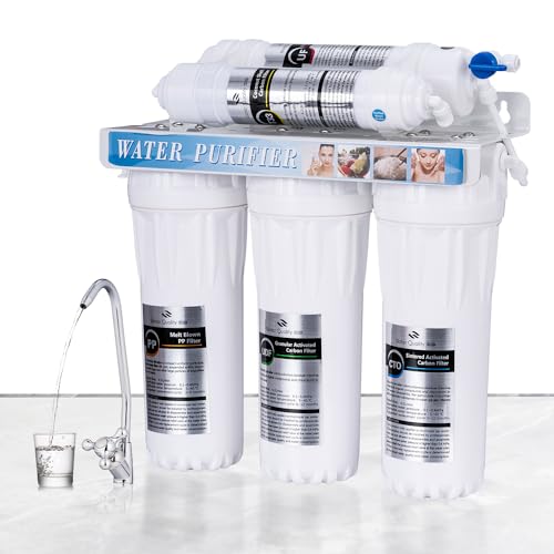TOPWAY Sistema de Filtro de Agua Debajo del Fregadero de 5 Etapas, 0,01 Micrones Sistema de Ultrafiltración de 10'