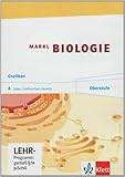 Markl Biologie Oberstufe: Grafiken A. CD-ROM Klassen 10-12 (G8), Klassen 11-13 (G9) (Markl Biologie Oberstufe. Bundesausgabe ab 2010) - Hauptdarsteller: Jürgen Markl 