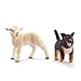 Produktbild Schleich Kids Farm World Kunststoff Mehrfarbig Farm Life 2Pack2 87391