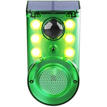 motion sensor outdoor light with alarm