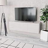 El montaje es fácil. UnfadeMemory Mueble para TV,Mesa para TV,Mesa Baja para Salón Dormitorio,con 2 Compartimentos con Puertas,Estilo Moderno,Aglomerado 120x40x34cm (Blanco)
