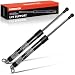A-Premium Tailgate Rear Trunk Lift Supports Shock Struts for BMW E38 740i 740iL 2-PC Set