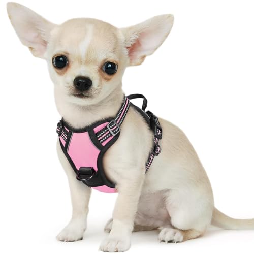 Image of Eagloo Dog Harness for Small Dogs, No Pull Pet Vest with 2 Leash Clips